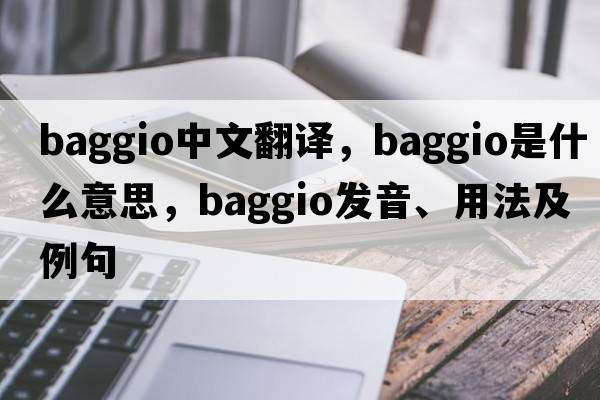 Baggio中文翻譯，Baggio是什么意思，Baggio發(fā)音、用法及例句