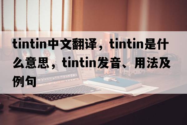 Tintin中文翻譯，Tintin是什么意思，Tintin發(fā)音、用法及例句