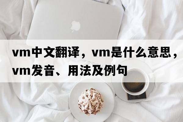 vm中文翻譯，vm是什么意思，vm發(fā)音、用法及例句