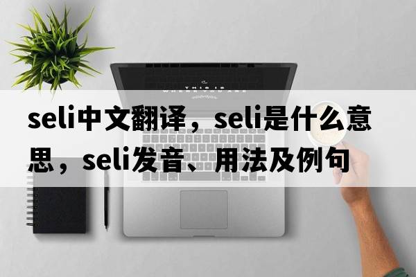 SELI中文翻譯，SELI是什么意思，SELI發(fā)音、用法及例句