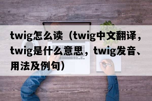 twig怎么讀（twig中文翻譯，twig是什么意思，twig發(fā)音、用法及例句）