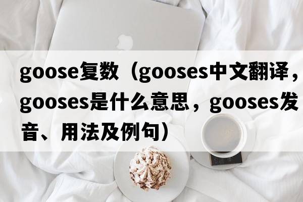 goose復數（gooses中文翻譯，gooses是什么意思，gooses發(fā)音、用法及例句）