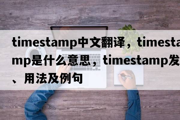 timestamp中文翻譯，timestamp是什么意思，timestamp發(fā)音、用法及例句