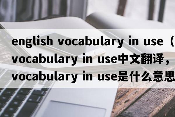english vocabulary in use（vocabulary in use中文翻譯，vocabulary in use是什么意思，vocabulary in use發(fā)音、用法及例句）
