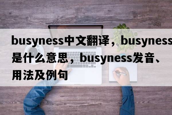 busyness中文翻譯，busyness是什么意思，busyness發(fā)音、用法及例句