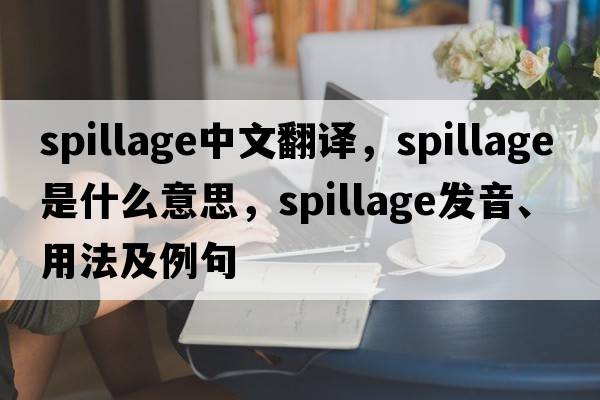 spillage中文翻譯，spillage是什么意思，spillage發(fā)音、用法及例句