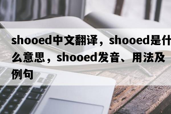 shooed中文翻譯，shooed是什么意思，shooed發(fā)音、用法及例句