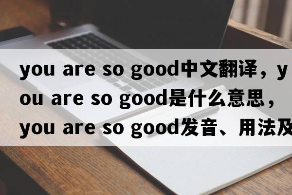 you are so good中文翻譯，you are so good是什么意思，you are so good發(fā)音、用法及例句