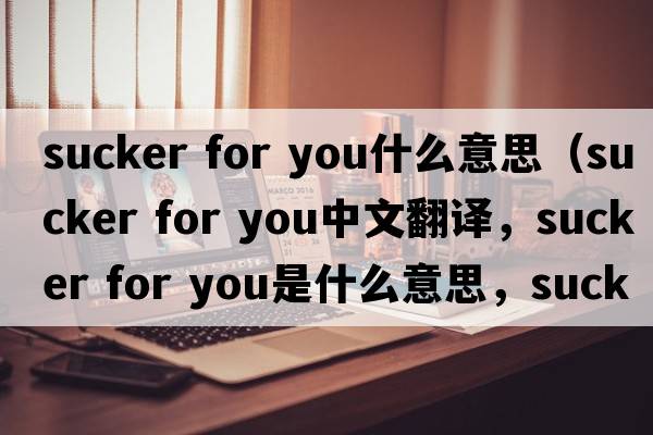sucker for you什么意思（sucker for you中文翻譯，sucker for you是什么意思，sucker for you發(fā)音、用法及例句）