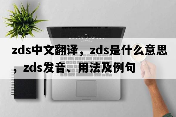 ZDS中文翻譯，ZDS是什么意思，ZDS發(fā)音、用法及例句