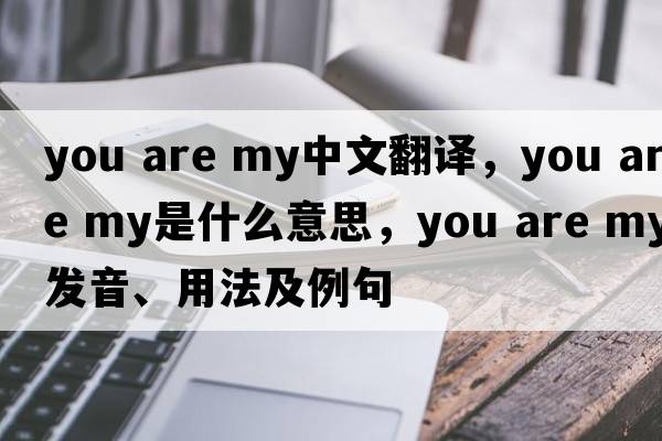 you are my中文翻譯，you are my是什么意思，you are my發(fā)音、用法及例句