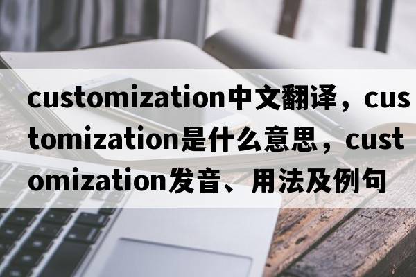 customization中文翻譯，customization是什么意思，customization發(fā)音、用法及例句