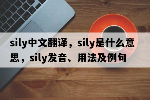 sily中文翻譯，sily是什么意思，sily發(fā)音、用法及例句