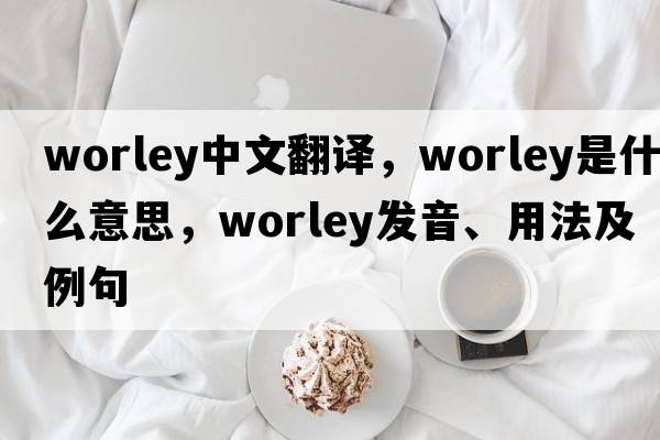 Worley中文翻譯，Worley是什么意思，Worley發(fā)音、用法及例句
