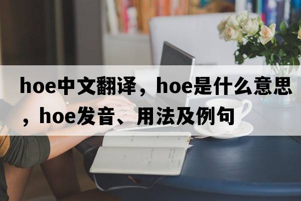 hoe中文翻譯，hoe是什么意思，hoe發(fā)音、用法及例句