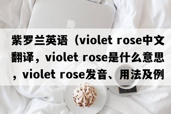 紫羅蘭英語(yǔ)（violet rose中文翻譯，violet rose是什么意思，violet rose發(fā)音、用法及例句）