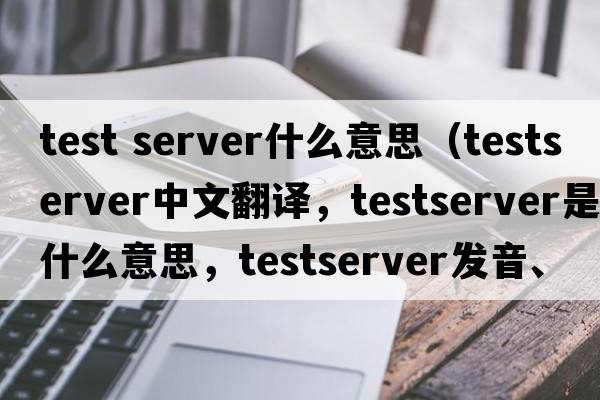 test server什么意思（testserver中文翻譯，testserver是什么意思，testserver發(fā)音、用法及例句）