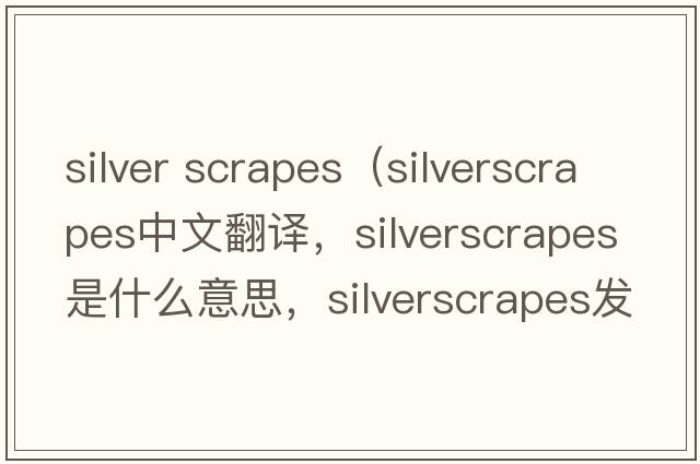 silver scrapes（silverscrapes中文翻譯，silverscrapes是什么意思，silverscrapes發(fā)音、用法及例句）