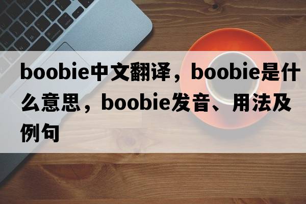 boobie中文翻譯，boobie是什么意思，boobie發(fā)音、用法及例句