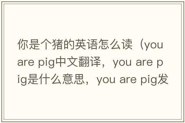 你是個(gè)豬的英語(yǔ)怎么讀（you are pig中文翻譯，you are pig是什么意思，you are pig發(fā)音、用法及例句）