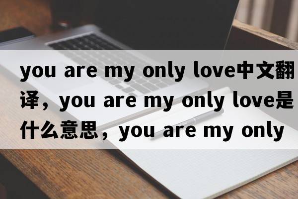 you are my only love中文翻譯，you are my only love是什么意思，you are my only love發(fā)音、用法及例句
