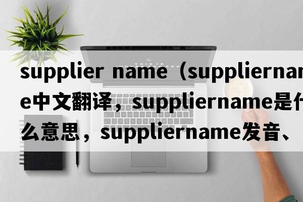 supplier name（suppliername中文翻譯，suppliername是什么意思，suppliername發(fā)音、用法及例句）
