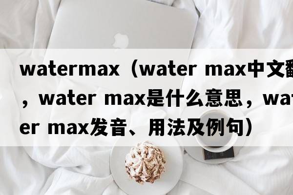 watermax（water max中文翻譯，water max是什么意思，water max發(fā)音、用法及例句）