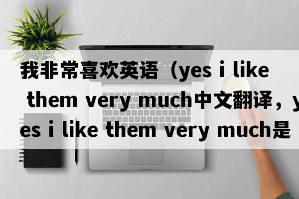 我非常喜歡英語(yǔ)（yes i like them very much中文翻譯，yes i like them very much是什么意思，yes i like them very much發(fā)音、用法及
