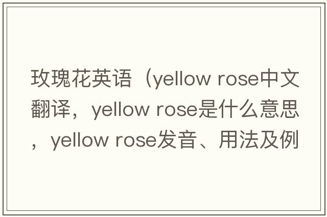玫瑰花英語(yǔ)（yellow rose中文翻譯，yellow rose是什么意思，yellow rose發(fā)音、用法及例句）