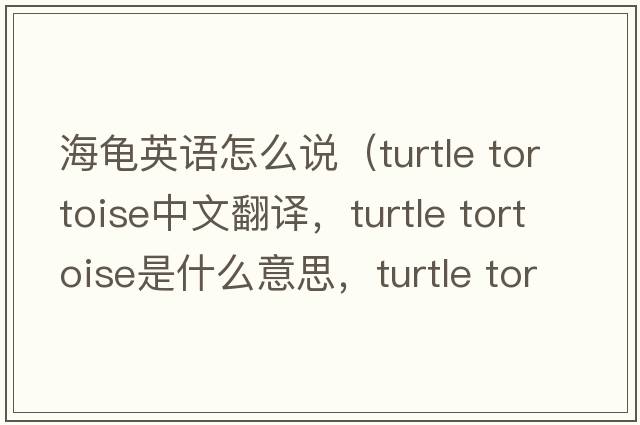 海龜英語(yǔ)怎么說(shuō)（turtle tortoise中文翻譯，turtle tortoise是什么意思，turtle tortoise發(fā)音、用法及例句）