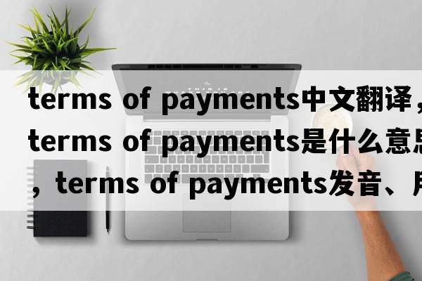 terms of payments中文翻譯，terms of payments是什么意思，terms of payments發(fā)音、用法及例句