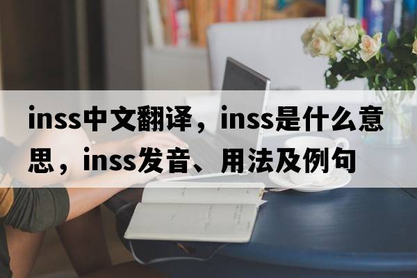 INSS中文翻譯，INSS是什么意思，INSS發(fā)音、用法及例句