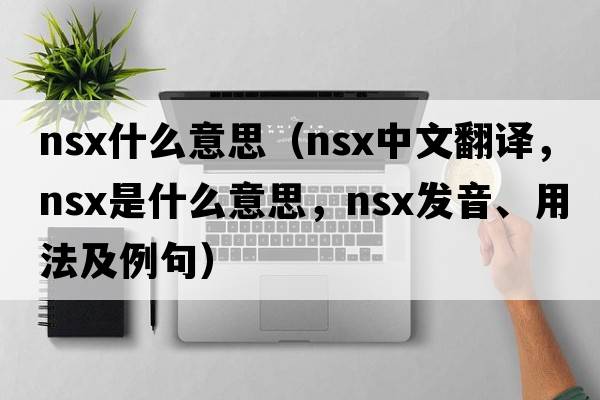 nsx什么意思（NSX中文翻譯，NSX是什么意思，NSX發(fā)音、用法及例句）