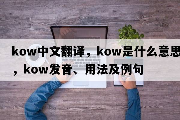 Kow中文翻譯，Kow是什么意思，Kow發(fā)音、用法及例句