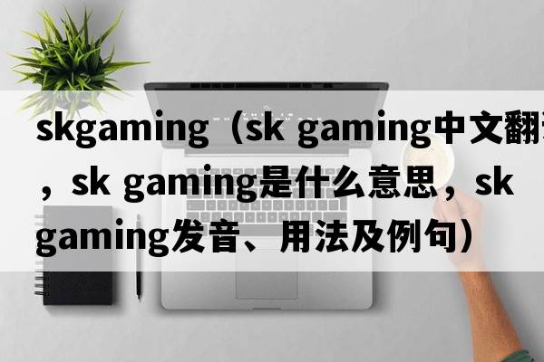skgaming（sk gaming中文翻譯，sk gaming是什么意思，sk gaming發(fā)音、用法及例句）