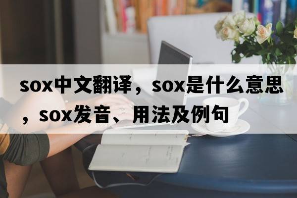 sox中文翻譯，sox是什么意思，sox發(fā)音、用法及例句