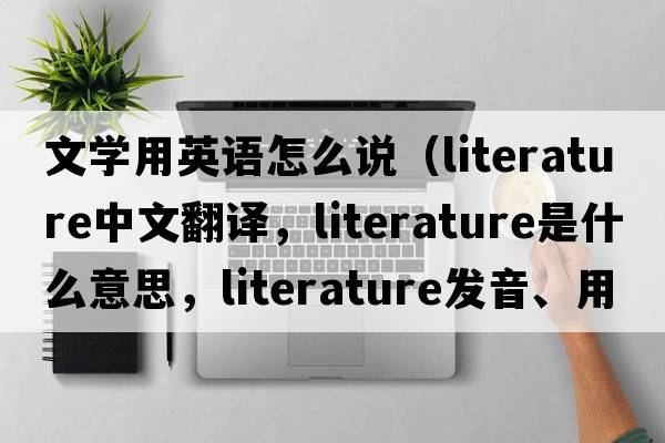 文學(xué)用英語(yǔ)怎么說(shuō)（literature中文翻譯，literature是什么意思，literature發(fā)音、用法及例句）