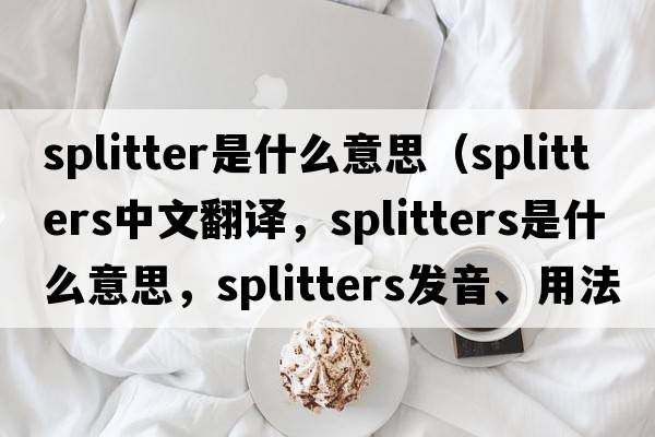 splitter是什么意思（splitters中文翻譯，splitters是什么意思，splitters發(fā)音、用法及例句）