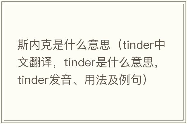 斯內克是什么意思（tinder中文翻譯，tinder是什么意思，tinder發(fā)音、用法及例句）