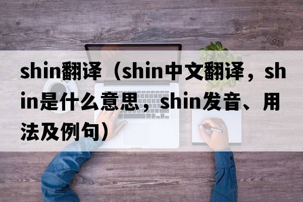 shin翻譯（shin中文翻譯，shin是什么意思，shin發(fā)音、用法及例句）