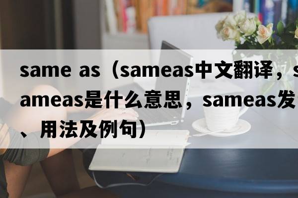 same as（sameas中文翻譯，sameas是什么意思，sameas發(fā)音、用法及例句）