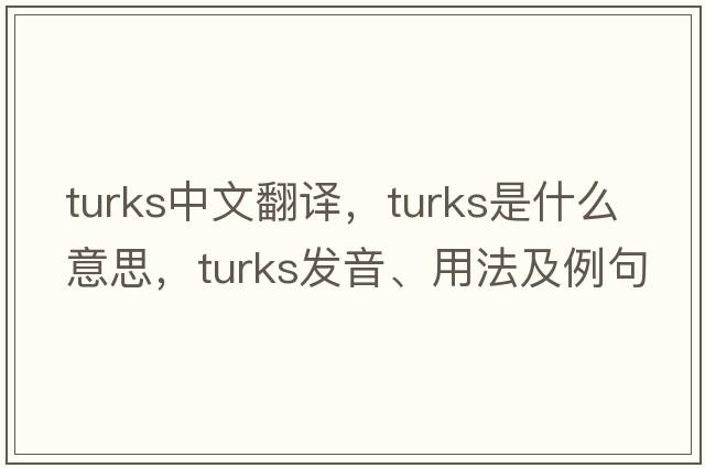 turks中文翻譯，turks是什么意思，turks發(fā)音、用法及例句