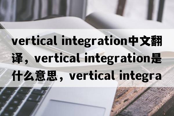 vertical integration中文翻譯，vertical integration是什么意思，vertical integration發(fā)音、用法及例句