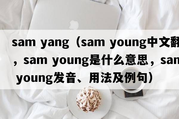sam yang（sam young中文翻譯，sam young是什么意思，sam young發(fā)音、用法及例句）
