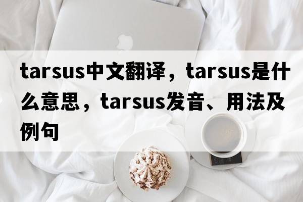 tarsus中文翻譯，tarsus是什么意思，tarsus發(fā)音、用法及例句