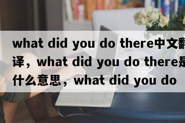 what did you do there中文翻譯，what did you do there是什么意思，what did you do there發(fā)音、用法及例句