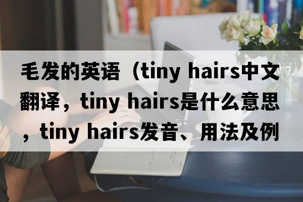 毛發(fā)的英語(yǔ)（tiny hairs中文翻譯，tiny hairs是什么意思，tiny hairs發(fā)音、用法及例句）
