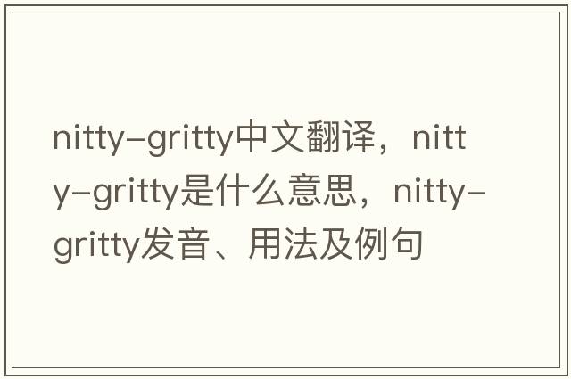 nitty-gritty中文翻譯，nitty-gritty是什么意思，nitty-gritty發(fā)音、用法及例句
