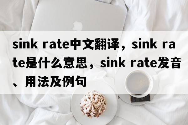 sink rate中文翻譯，sink rate是什么意思，sink rate發(fā)音、用法及例句