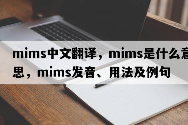 mims中文翻譯，mims是什么意思，mims發(fā)音、用法及例句